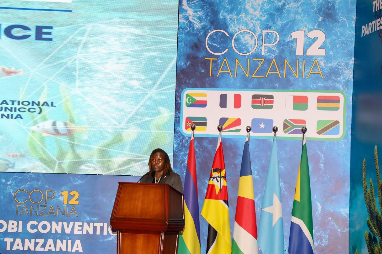 Kenya calls for implementation, investment and measurable impact at the 12th Conference of the Parties (COP12)