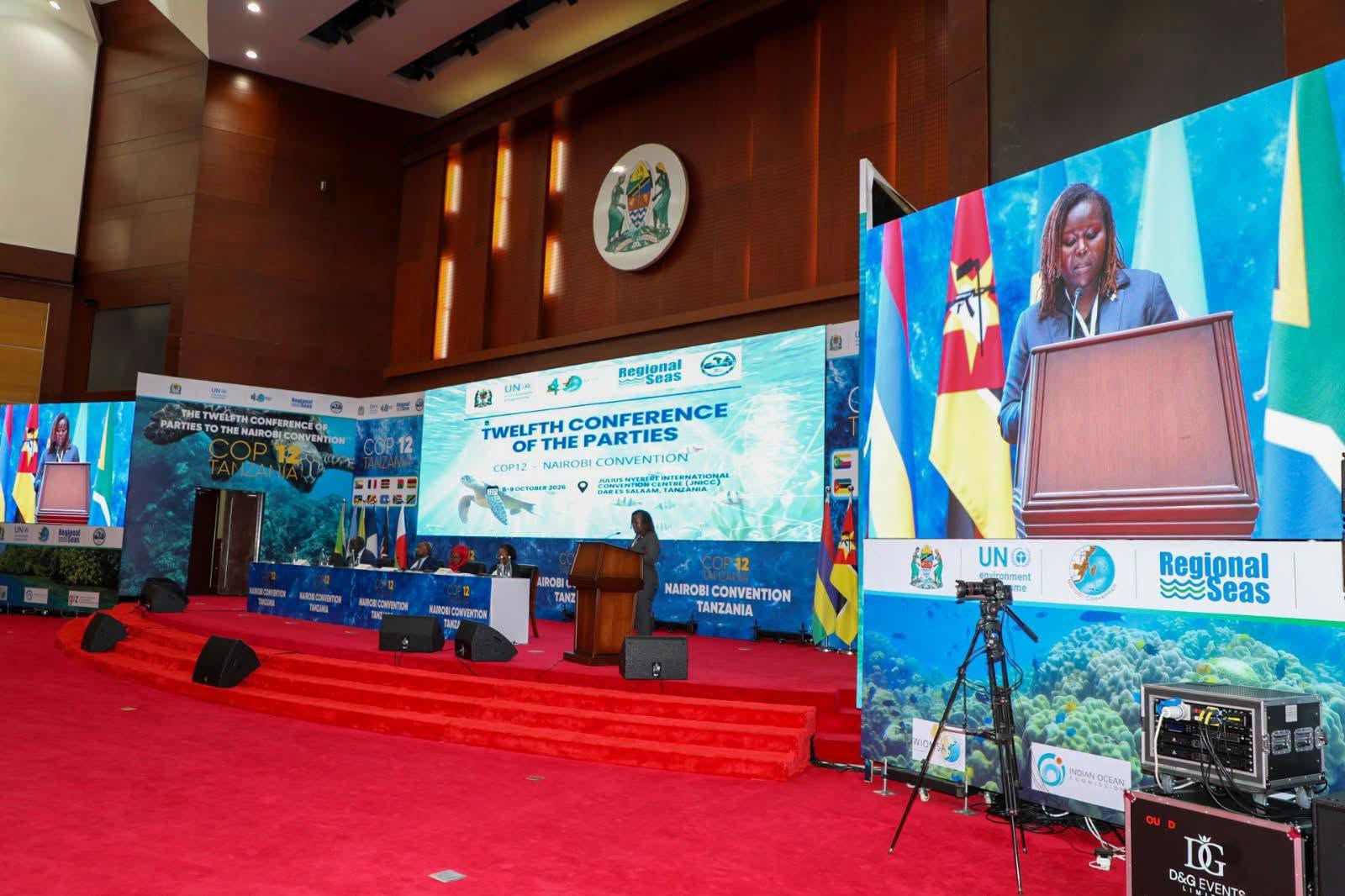 Kenya calls for implementation, investment and measurable impact at the 12th Conference of the Parties (COP12)