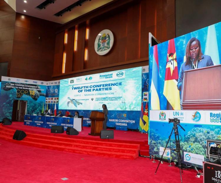 Ms. Linda Kosgei, Director of Multilateral Environmental Agreements Delivering Kenya’s statement  at the 12th Conference of the Parties (COP12) to the Nairobi Convention in Dar es Salaam, Tanzania.